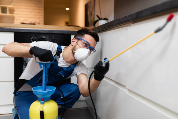 Best Pest Prevention Services  in Cedar Bluff, VA