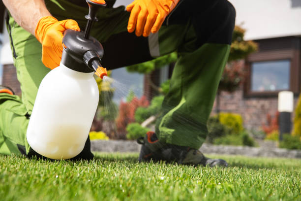 Best Insect Control  in Cedar Bluff, VA
