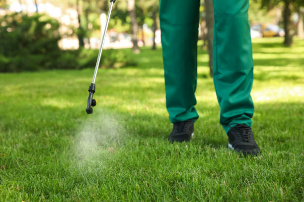 Best Ant Control Services  in Cedar Bluff, VA