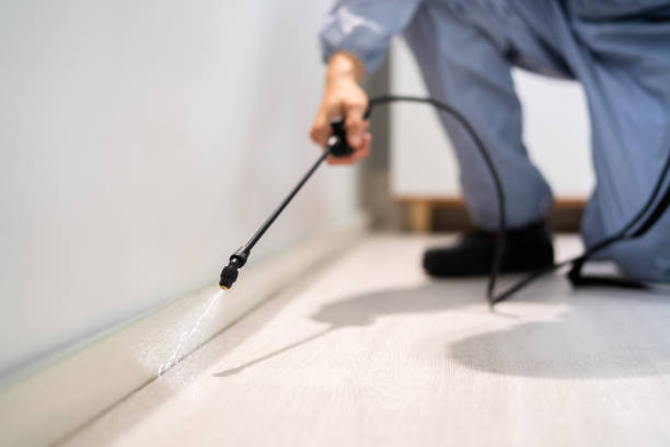 Best Pest Removal Services  in Cedar Bluff, VA