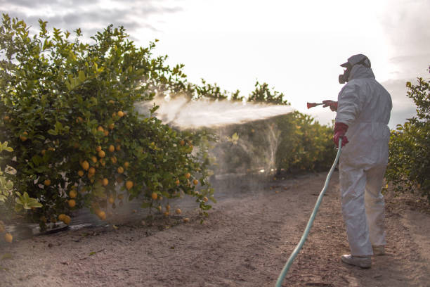 Best Best Pest Control Companies  in Cedar Bluff, VA