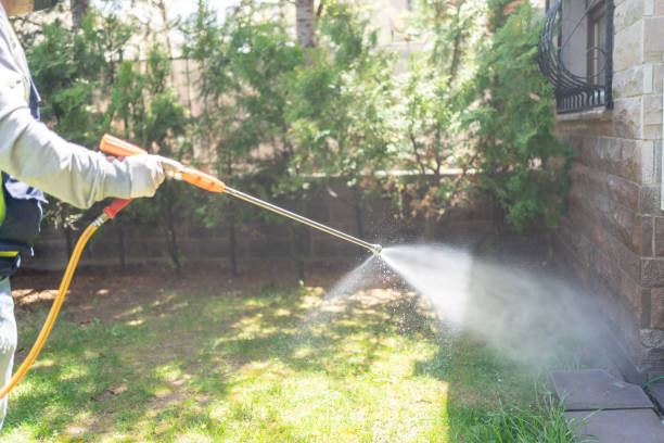 Best Mosquito Control Services  in Cedar Bluff, VA