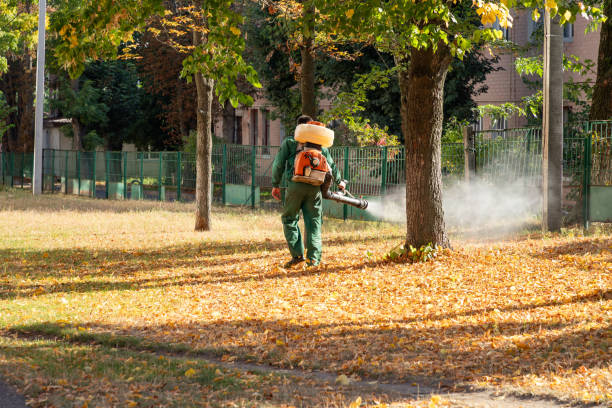 Best Residential Pest Control  in Cedar Bluff, VA